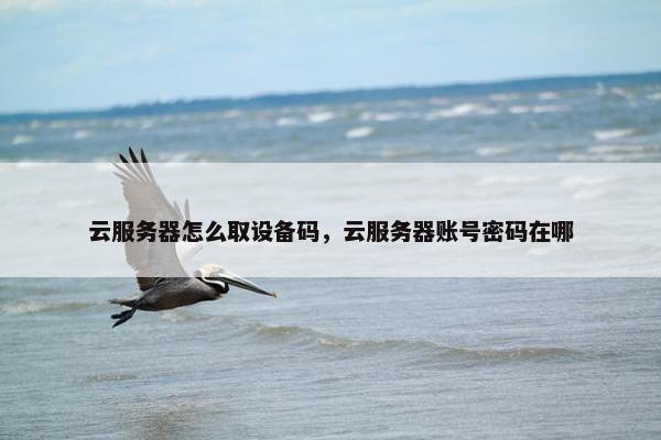 云服务器怎么取设备码，云服务器账号密码在哪