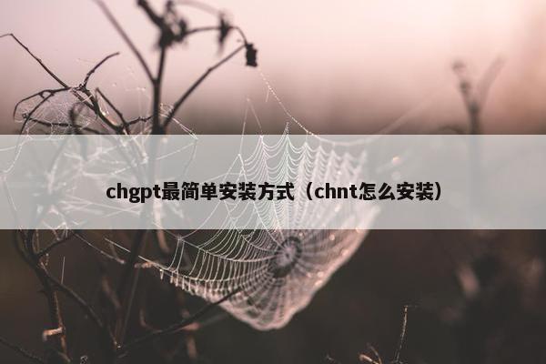 chgpt最简单安装方式（chnt怎么安装）