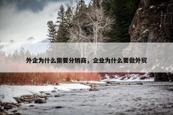 外企为什么需要分销商，企业为什么要做外贸