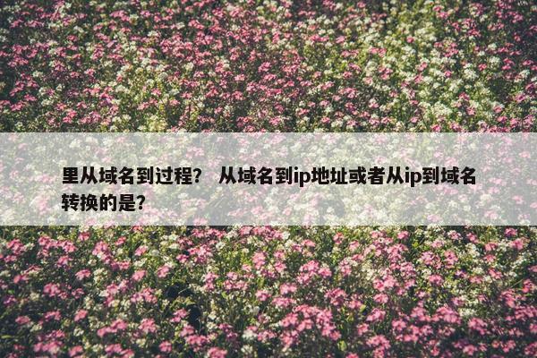 里从域名到过程？ 从域名到ip地址或者从ip到域名转换的是？