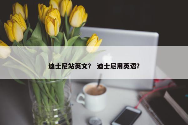 迪士尼站英文？ 迪士尼用英语？