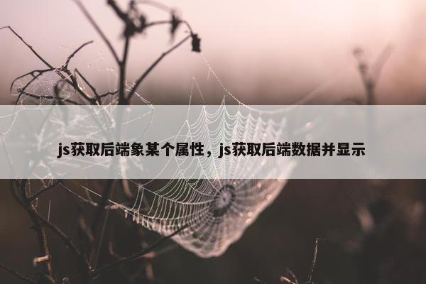 js获取后端象某个属性，js获取后端数据并显示