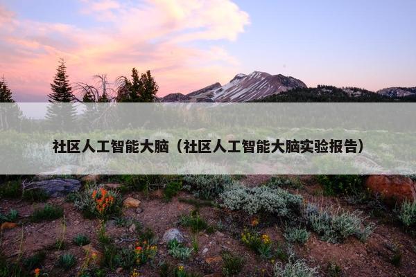 社区人工智能大脑（社区人工智能大脑实验报告）