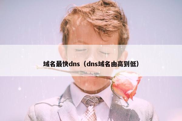 域名最快dns（dns域名由高到低）