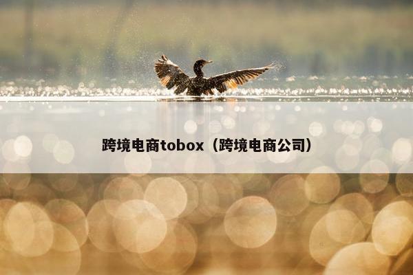 跨境电商tobox（跨境电商公司）