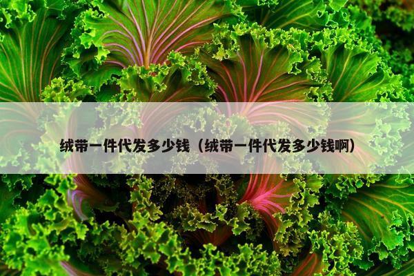 绒带一件代发多少钱（绒带一件代发多少钱啊）