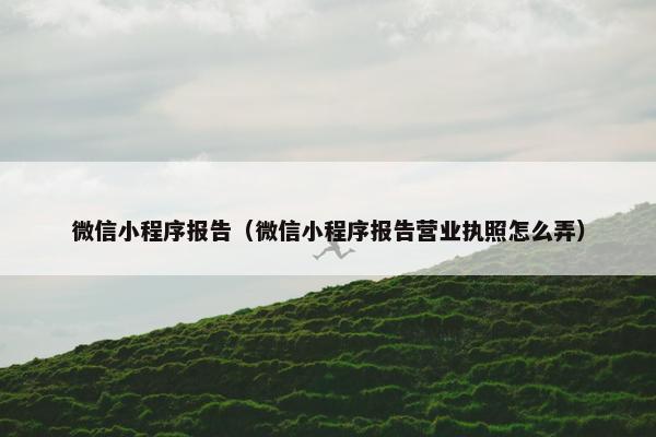微信小程序报告（微信小程序报告营业执照怎么弄）