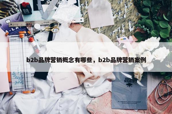 b2b品牌营销概念有哪些，b2b品牌营销案例