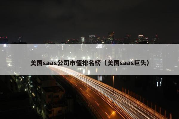 美国saas公司市值排名榜（美国saas巨头）