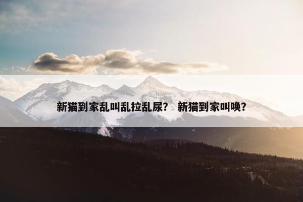 新猫到家乱叫乱拉乱尿？ 新猫到家叫唤？