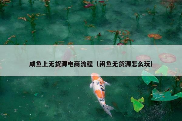 咸鱼上无货源电商流程（闲鱼无货源怎么玩）