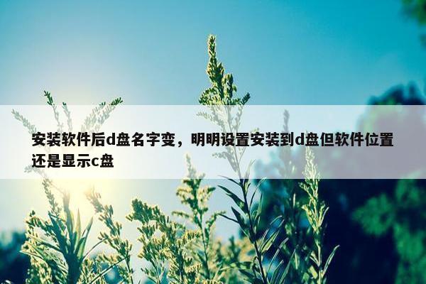 安装软件后d盘名字变，明明设置安装到d盘但软件位置还是显示c盘
