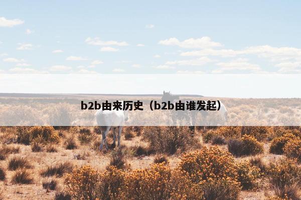 b2b由来历史（b2b由谁发起）