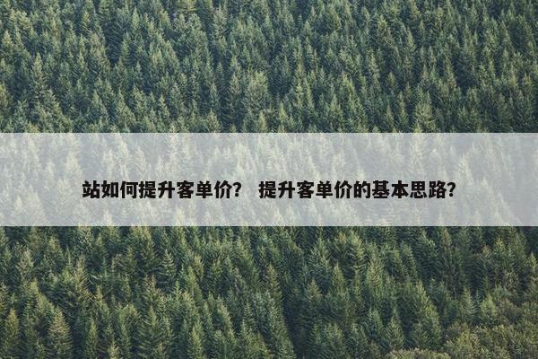 站如何提升客单价？ 提升客单价的基本思路？