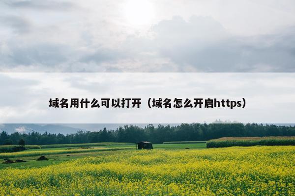 域名用什么可以打开（域名怎么开启https）