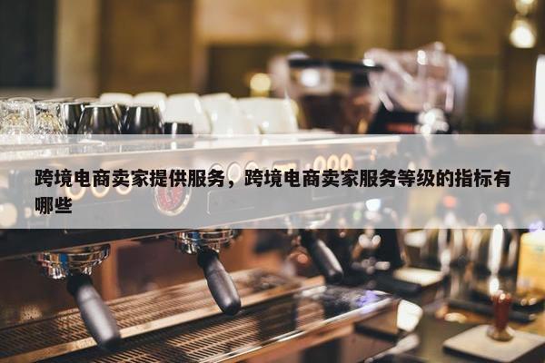 跨境电商卖家提供服务，跨境电商卖家服务等级的指标有哪些