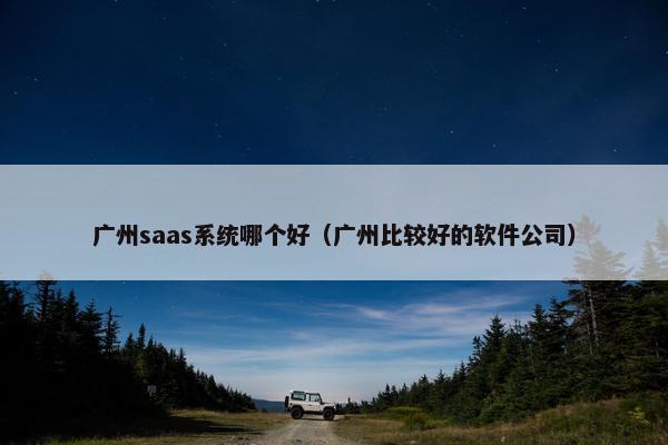 广州saas系统哪个好（广州比较好的软件公司）