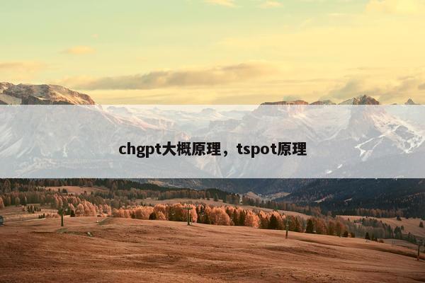 chgpt大概原理，tspot原理