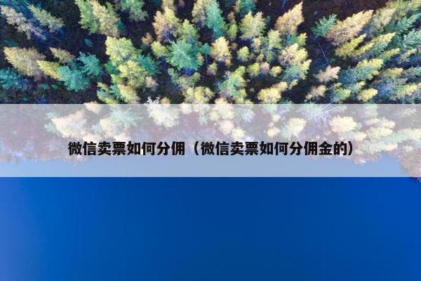 微信卖票如何分佣（微信卖票如何分佣金的）