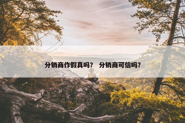 分销商作假真吗？ 分销商可信吗？