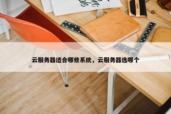 云服务器适合哪些系统，云服务器选哪个