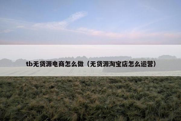 tb无货源电商怎么做（无货源淘宝店怎么运营）