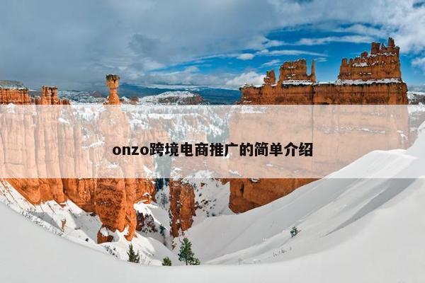 onzo跨境电商推广的简单介绍