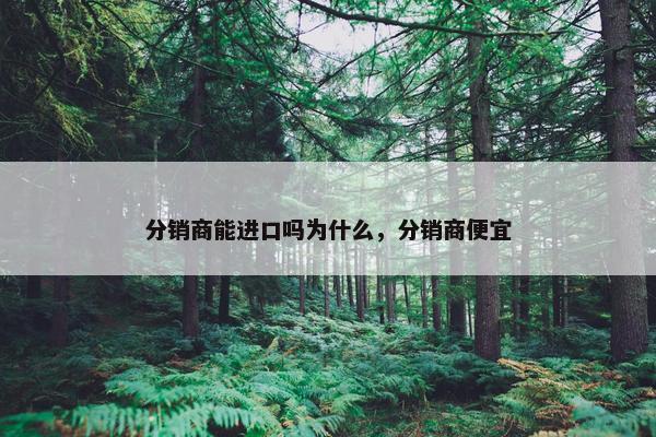分销商能进口吗为什么，分销商便宜