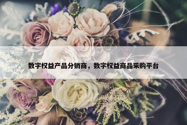 数字权益产品分销商，数字权益商品采购平台