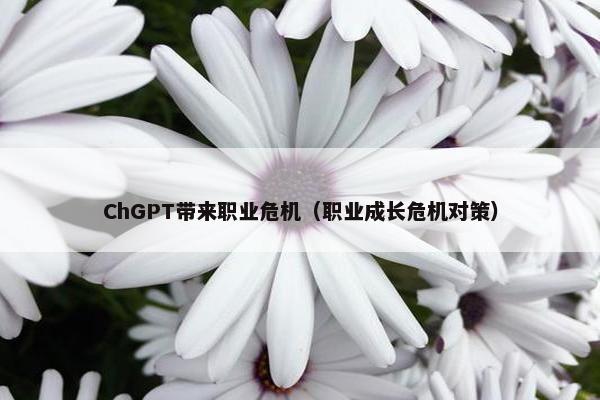 ChGPT带来职业危机（职业成长危机对策）