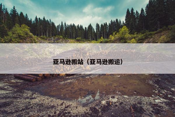 亚马逊搬站（亚马逊搬运）