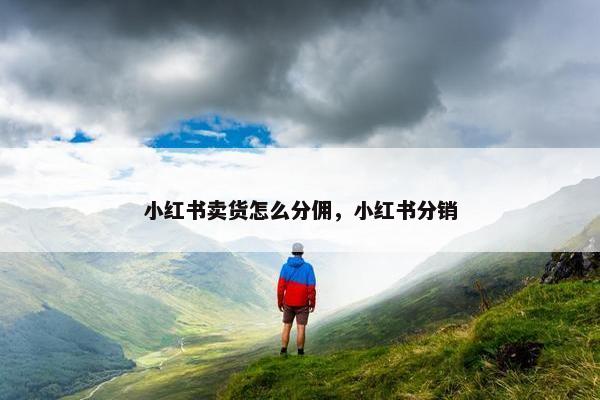 小红书卖货怎么分佣，小红书分销