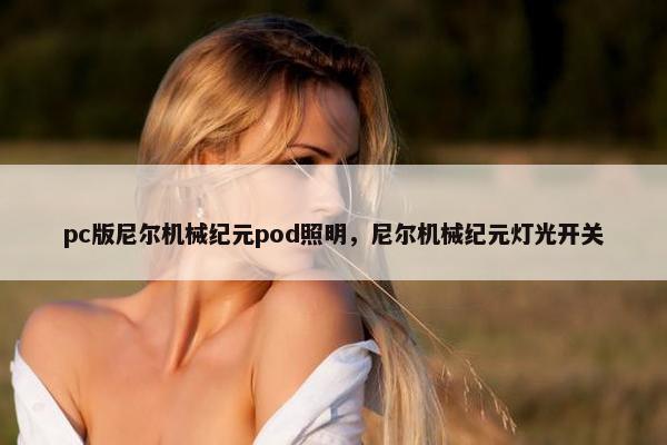 pc版尼尔机械纪元pod照明，尼尔机械纪元灯光开关