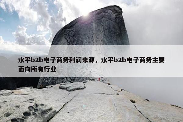 水平b2b电子商务利润来源，水平b2b电子商务主要面向所有行业