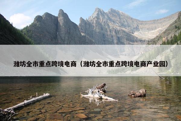 潍坊全市重点跨境电商（潍坊全市重点跨境电商产业园）