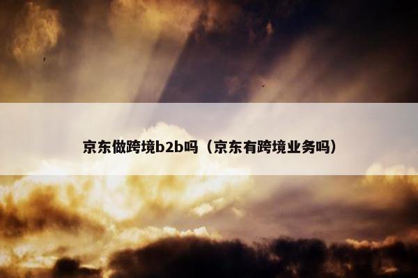 京东做跨境b2b吗（京东有跨境业务吗）