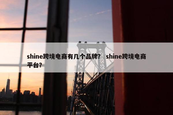 shine跨境电商有几个品牌？ shine跨境电商平台？