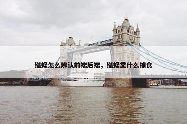 缢蛏怎么辨认前端后端，缢蛏靠什么捕食
