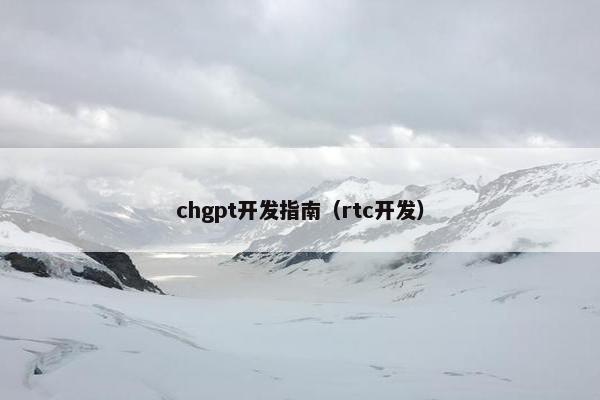 chgpt开发指南（rtc开发）