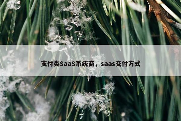 支付类SaaS系统商，saas交付方式
