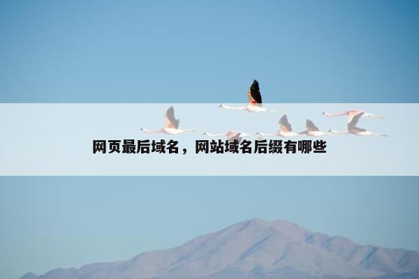 网页最后域名，网站域名后缀有哪些