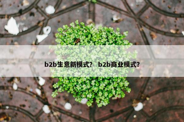 b2b生意新模式？ b2b商业模式？