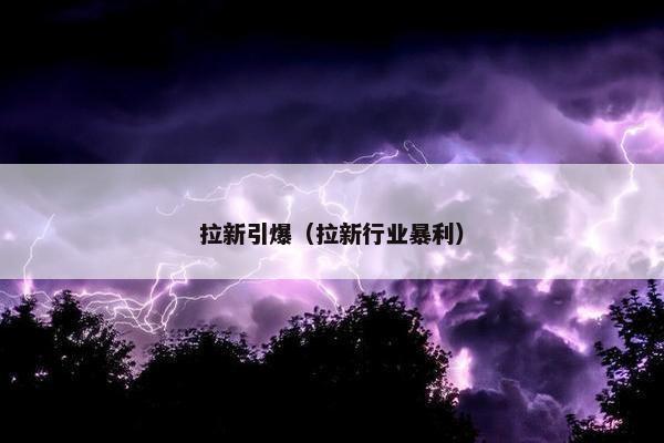 拉新引爆（拉新行业暴利）