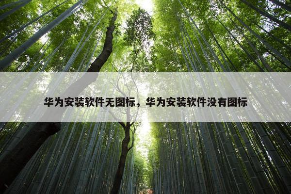 华为安装软件无图标，华为安装软件没有图标