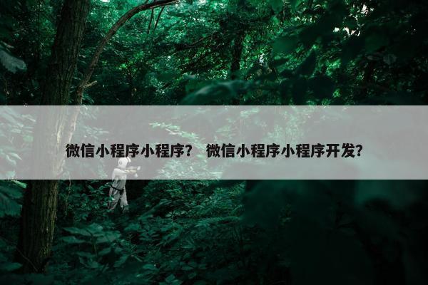 微信小程序小程序？ 微信小程序小程序开发？