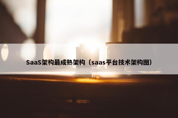 SaaS架构最成熟架构（saas平台技术架构图）