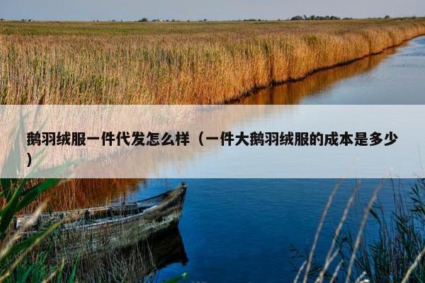 鹅羽绒服一件代发怎么样（一件大鹅羽绒服的成本是多少）