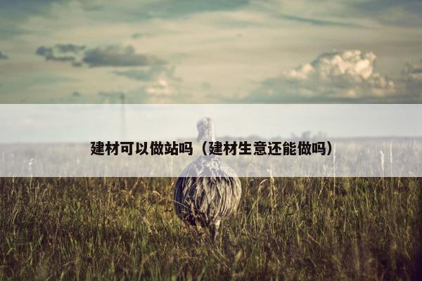 建材可以做站吗（建材生意还能做吗）