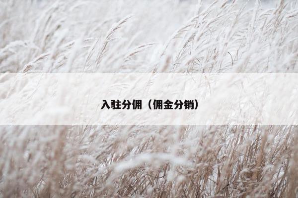 入驻分佣（佣金分销）