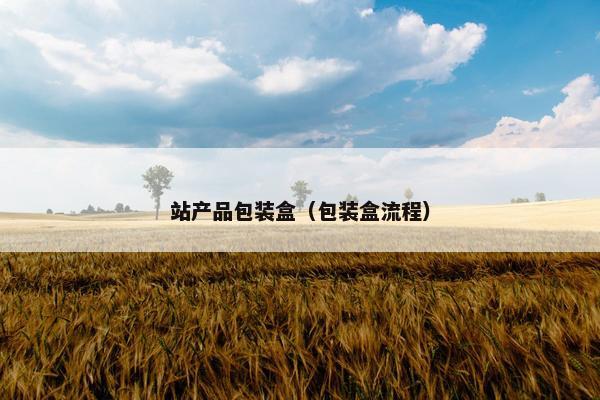 站产品包装盒（包装盒流程）